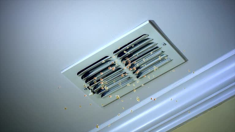 Best Local Air Duct Cleaning Services  in Harvard, IL