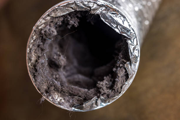 Best Residential Air Duct Cleaning  in Harvard, IL